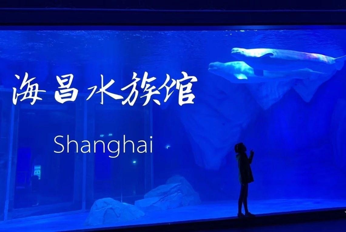 海昌海洋公园.jpg