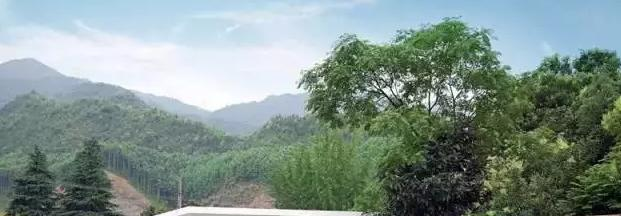 建德新安江职业学校