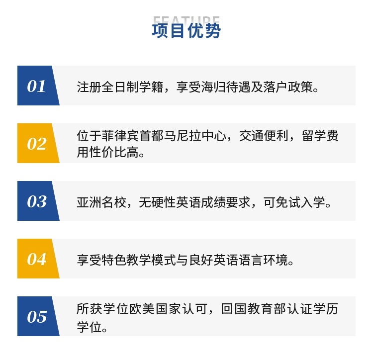 项目优势