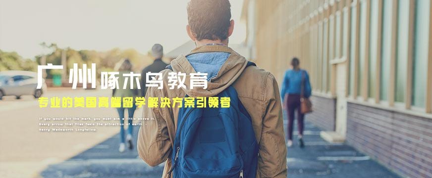 广州啄木鸟培训机构