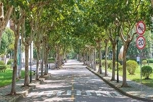 摄图网_501005996_wx.jpg