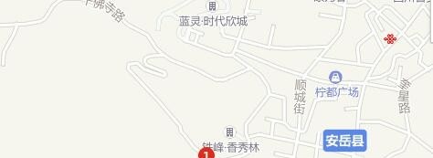 安岳县远大科技职业学校