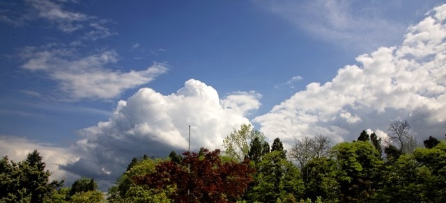 丽水职业技术学院2019年单招录取分数线