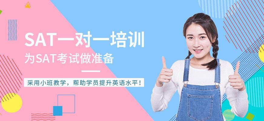 合肥sat一对一培训