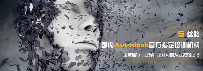 南京丝路指定培训机构