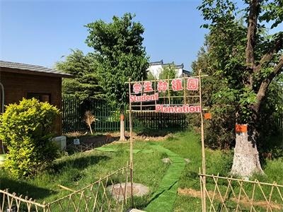 北京明诚外国语学校-洪堡学部