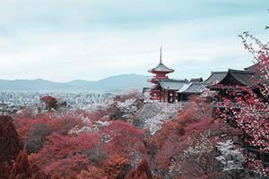 中瑞君华国际教育北京校区