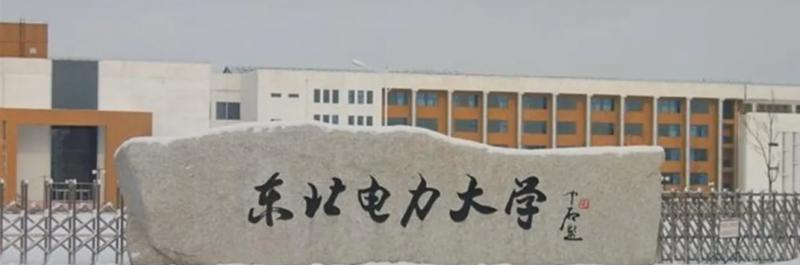 东北电力大学有哪些中外合作办学专业？（附名单）