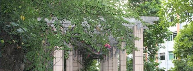 截图_20211116125650