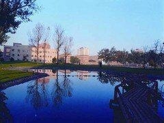 对外经济贸易大学校园风景