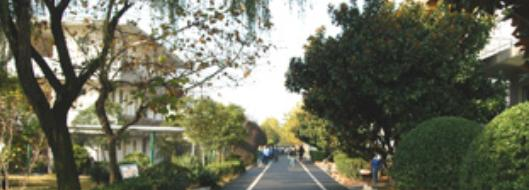 山东煤炭卫生学校2022年招生录取分数线