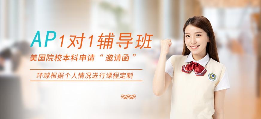 广州AP一对一课程配图