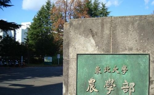 东北大学