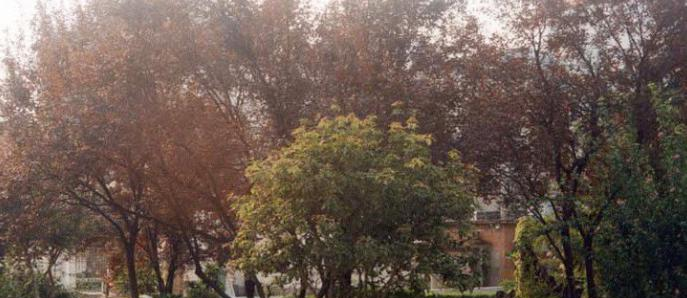 安徽艺术职业学院单招报名条件