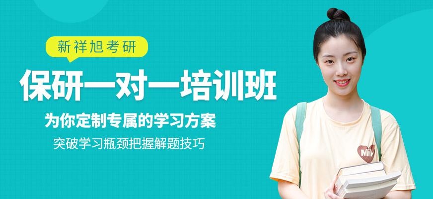 新祥旭保研培训班
