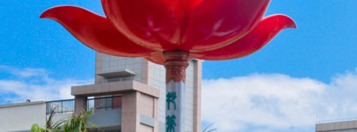 华东师范大学澄迈实验中学2023年招生代码 