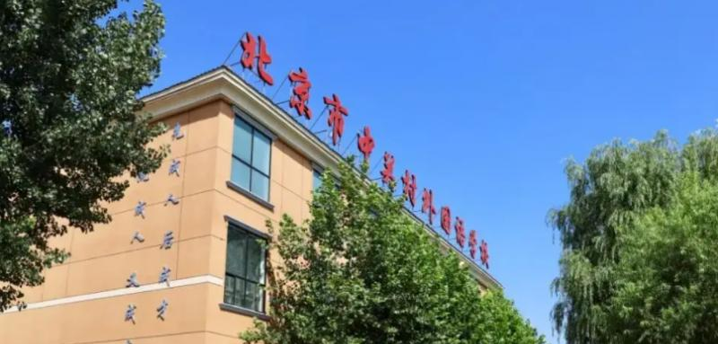 北京中关村外国语学校小学部2022年12月校园开放日免费