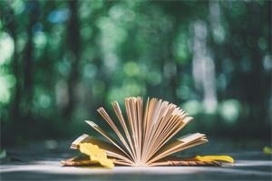 沈阳医学院在职研究生优势.jpg