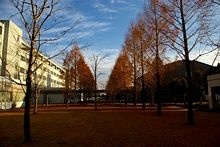 国际医疗福利大学