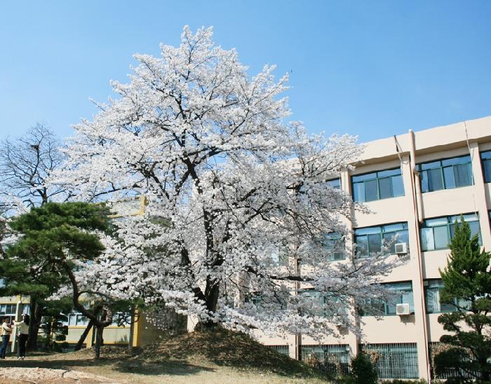 全南大学