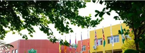 北京私立树人瑞贝学校高中部2023年招生政策