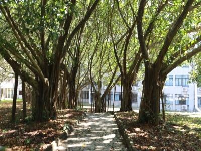 雷纳森英豪国际学院