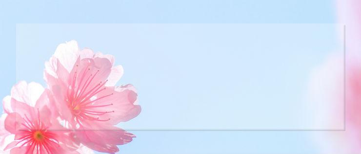 东莞日语1级培训周末