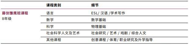 藤剑雏鹰班.jpg