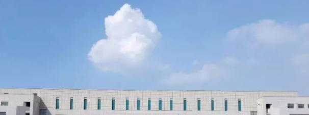 往年高考多少分可以上石河子大学？（2023年参考）