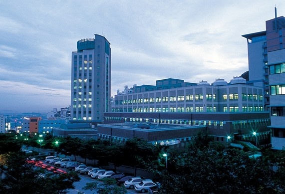 仁济大学