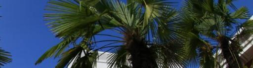 安徽中澳科技职业学院2020年招生代码