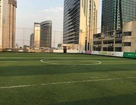 苏州鲨鱼棒球