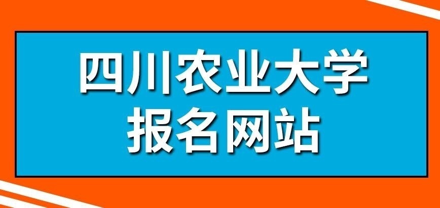 四川农业大学在职研究生报名网站