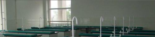 11截图_20201029094414