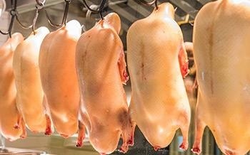 原料采购、保鲜技术