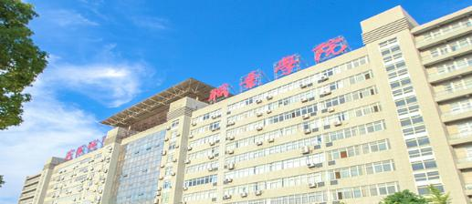 武汉城市职业学院4
