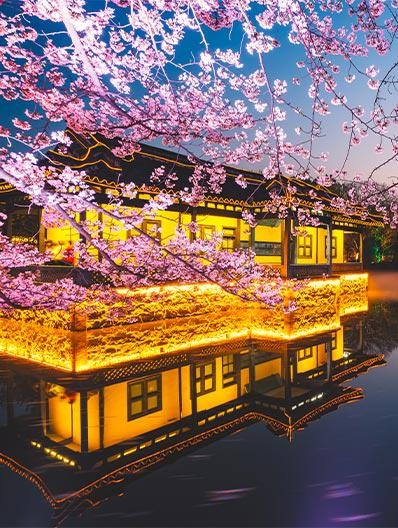 樱花