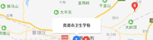 贵港市卫生学校地址在哪里