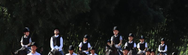 西交利物浦大学附属学校初中部2020年招生计划