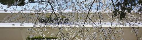 湖北艺术职业学院单招报名时间