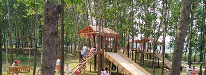 徐州爱尔国际学校初中部2020年招生办