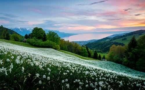 怎样提高学习效率和成绩