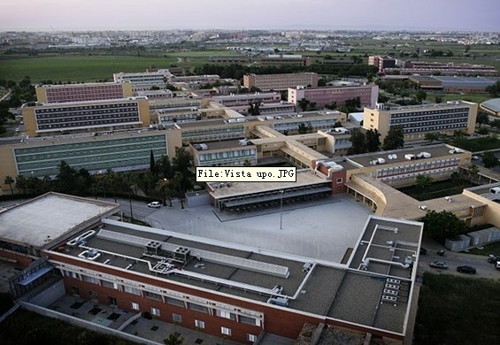 帕布罗·德奥拉韦德大学