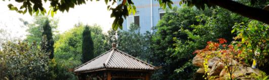 成都华大医药卫生学校2022年招生录取分数线