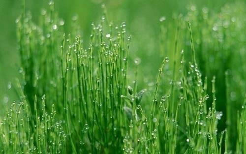 如何提高小孩的独立能力