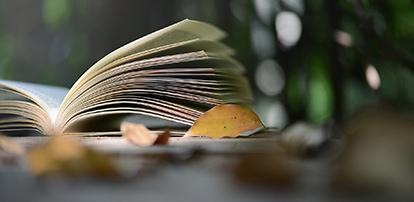 学校介绍