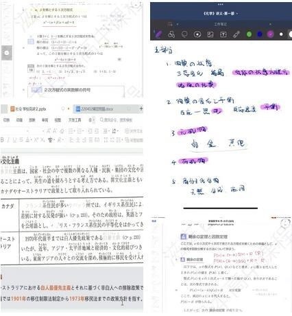 上海常青藤中日融合班教案讲义.jpg