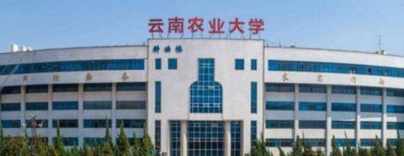 云南农业大学是几本？是985和211吗？