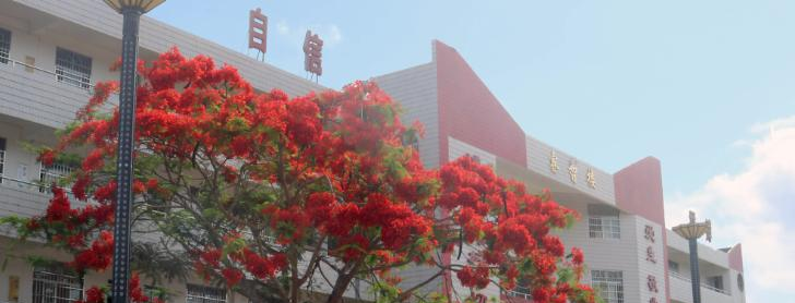 海南省农垦实验中学