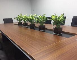 合肥立思辰留学360